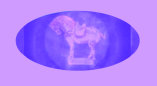 east_avon_flea_market001023.jpg
